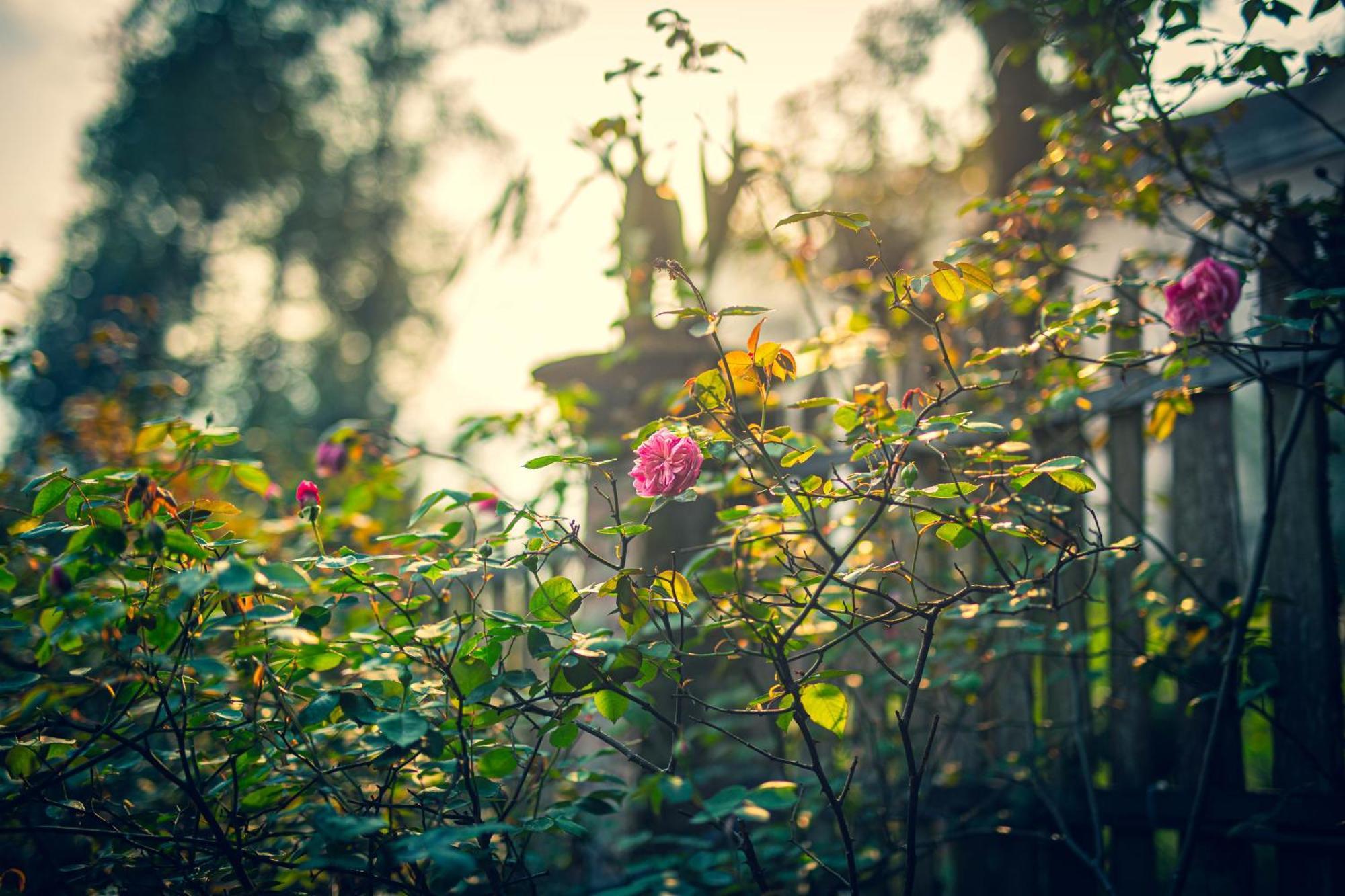 Green Sapa Homestay ภายนอก รูปภาพ