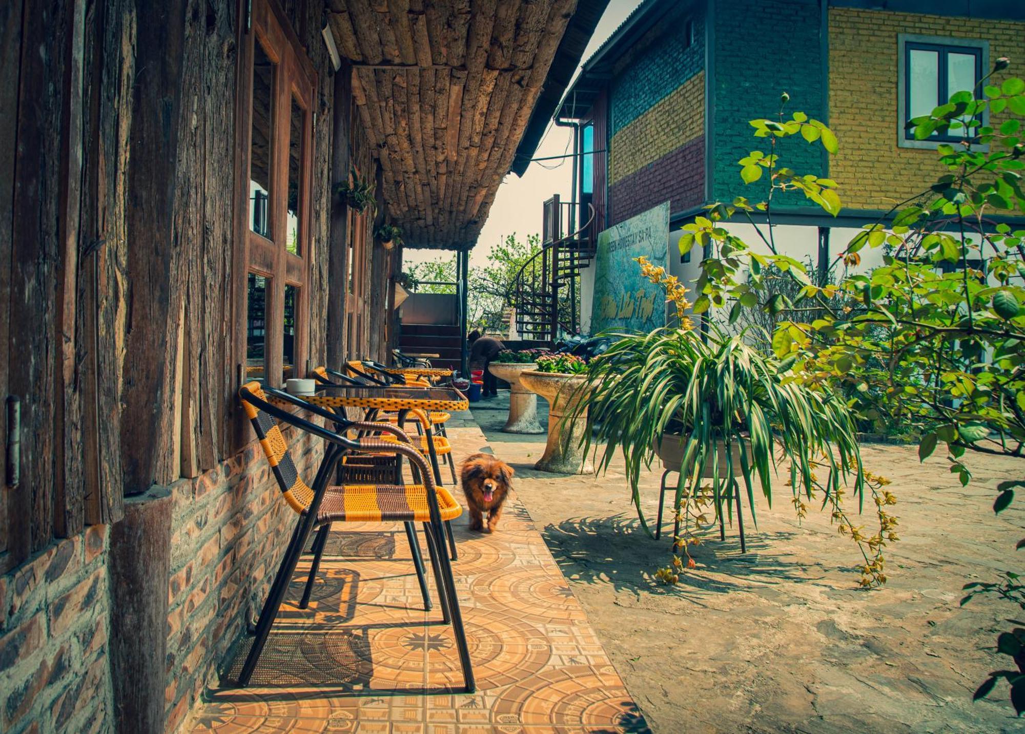 Green Sapa Homestay ภายนอก รูปภาพ